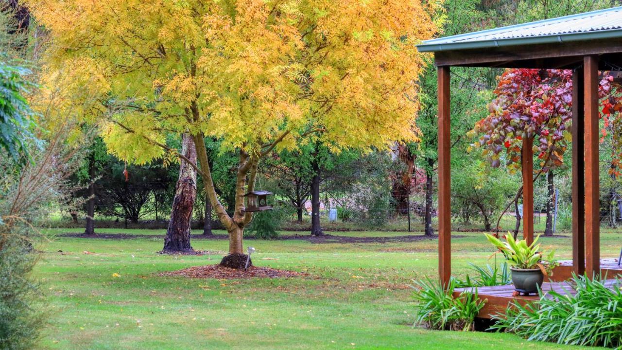 Beechworth Cedar Cottages Exterior foto